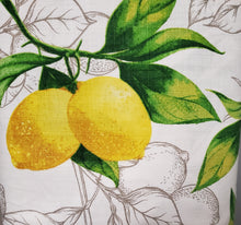Load image into Gallery viewer, Zesty Lemon Canvas