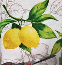 Load image into Gallery viewer, Zesty Lemon Canvas